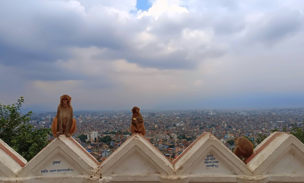 vista dal Swayambhunath Stupa